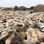 5 Star Holiday Home In Blavand *