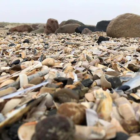 Luxury Retreat In - By Traum *