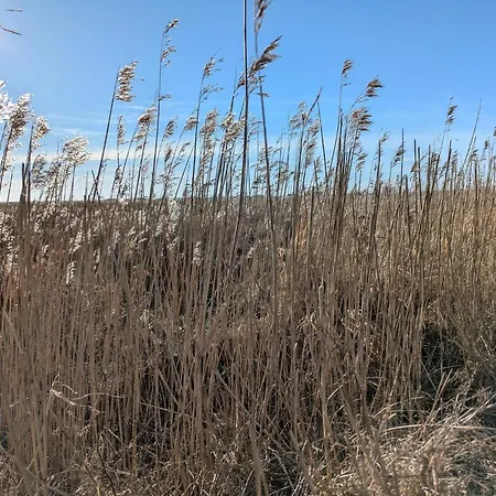 Ferienhaus Luxury Retreat In - By Traum *