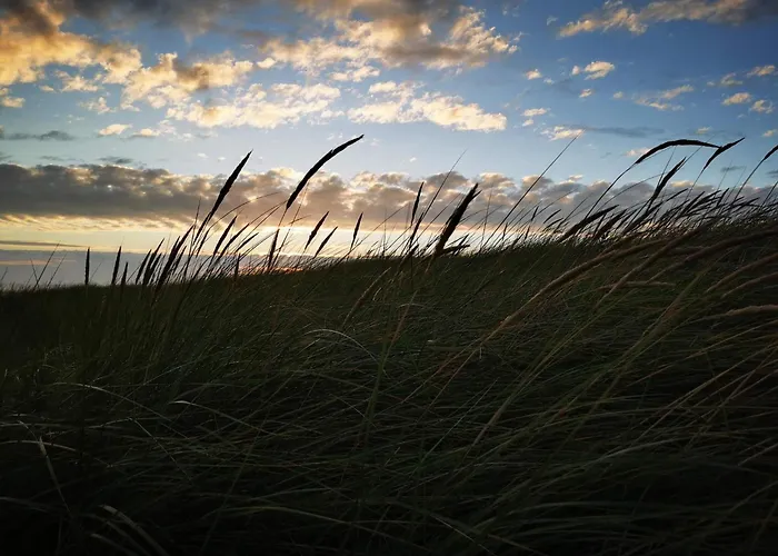 Nyaraló Luxury Retreat In - By Traum Blåvand