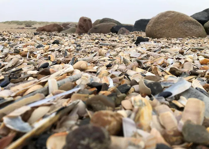 Luxury Retreat In - By Traum *