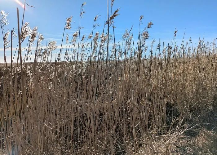 Nyaraló Luxury Retreat In - By Traum *